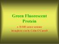 Green Fluorescent Protein PowerPoint PPT Presentation