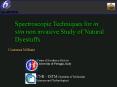 Spectroscopic Techniques for in situ non invasive Study of Natural Dyestuffs PowerPoint PPT Presentation