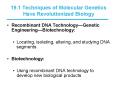 19.1 Techniques of Molecular Genetics Have Revolutionized Biology PowerPoint PPT Presentation