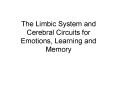 The Limbic System and Cerebral Circuits for Emotions, Learning and Memory PowerPoint PPT Presentation