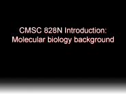 CMSC 828N Introduction: Molecular biology background