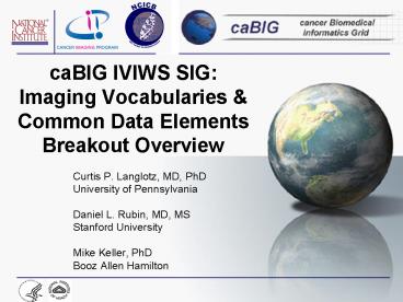 caBIG IVIWS SIG: Imaging Vocabularies