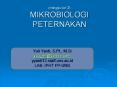 (minggu ke-3) MIKROBIOLOGI PETERNAKAN PowerPoint PPT Presentation