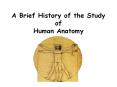 A Brief History of the Study of Human Anatomy PowerPoint PPT Presentation