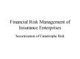 Financial Risk Management of Insurance Enterprises PowerPoint PPT Presentation