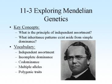11-3 Exploring Mendelian Genetics