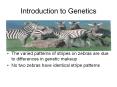 Introduction to Genetics PowerPoint PPT Presentation