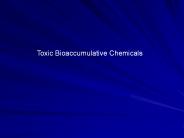Toxic Bioaccumulative Chemicals