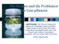 Die Risiken und die Problemen der Gen-pflanzen PowerPoint PPT Presentation
