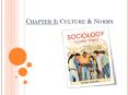 Chapter 3: Culture PowerPoint PPT Presentation