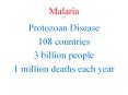 Malaria H2012 PowerPoint PPT Presentation