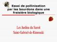 Essai de pollinisation par les bourdons dans une fraisi PowerPoint PPT Presentation