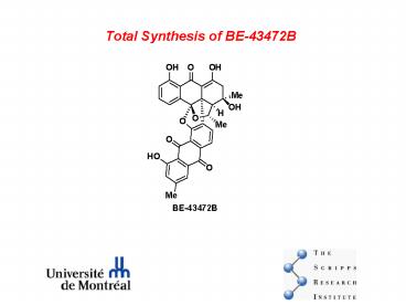 Total Synthesis of BE-43472B
