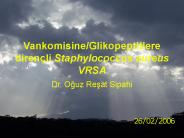 Vankomisine/Glikopeptitlere diren