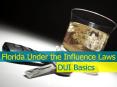 Florida Driving Under the Influence Laws PowerPoint PPT Presentation