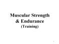 Muscular Strength PowerPoint PPT Presentation