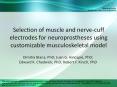 Selection of muscle and nerve-cuff electrodes for neuroprostheses using customizable musculoskeletal model PowerPoint PPT Presentation