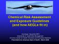Chemical Risk Assessment and Exposure Guidelines (and how AEGLs fit in) PowerPoint PPT Presentation