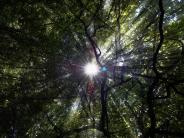 Greenburgh Nature Center