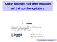 Carbon Nanotube Field-Effect Transistors PowerPoint PPT Presentation