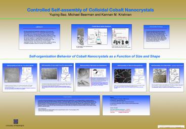 Controlled Self-assembly of Colloidal Cobalt Nanocrystals