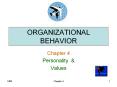 ORGANIZATIONAL BEHAVIOR PowerPoint PPT Presentation