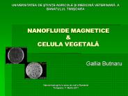NANOFLUIDE MAGNETICE