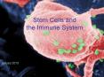 Stem Cells and the Immune System PowerPoint PPT Presentation