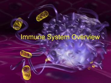 presentation player overlay