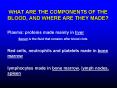 WHAT ARE THE COMPONENTS OF THE BLOOD, AND WHERE ARE THEY MADE? PowerPoint PPT Presentation
