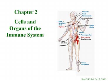 Cells and Organs of the Immune System