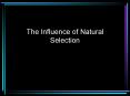 The Influence of Natural Selection PowerPoint PPT Presentation