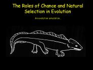 The Roles of Chance and Natural Selection in Evolution