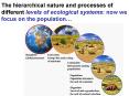 The hierarchical nature and processes of different levels of ecological systems: now we focus on the population PowerPoint PPT Presentation