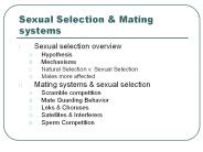 Sexual Selection
