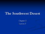 The Southwest Desert