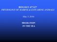 BIOLOGY 457/657 PHYSIOLOGY OF MARINE PowerPoint PPT Presentation