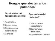 Hongos que afectan a los pulmones