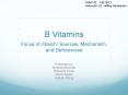 B Vitamins PowerPoint PPT Presentation