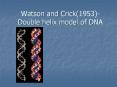 Watson and Crick(1953)- Double helix model of DNA PowerPoint PPT Presentation