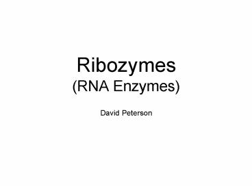 Ribozymes (RNA Enzymes)