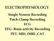 ELECTROPHYSIOLOGY