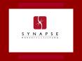 Prepared for the Synapse Board of Directors PowerPoint PPT Presentation