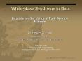 White-Nose Syndrome in Bats PowerPoint PPT Presentation