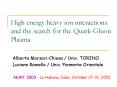 High energy heavy ion interactions and the search for the Quark-Gluon Plasma PowerPoint PPT Presentation