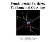 Fundamental Particles,  Fundamental Questions