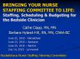 BRINGING YOUR NURSE STAFFING COMMITTEE TO LIFE: Staffing, Scheduling PowerPoint PPT Presentation