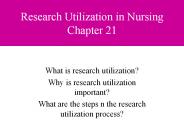 Research Utilization in Nursing Chapter 21