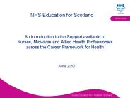 An Introduction to the Support available to Nurses, Midwives and Allied Health Professionals across the Career Framework for Health