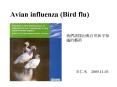 Avian influenza (Bird flu) PowerPoint PPT Presentation